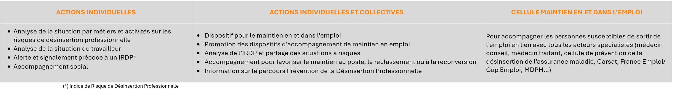 Pr&eacute;vention de la D&eacute;sinsertion Professionnelle